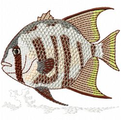 Fishes Embroidery Design 6 Fishes Embroidery Design 6